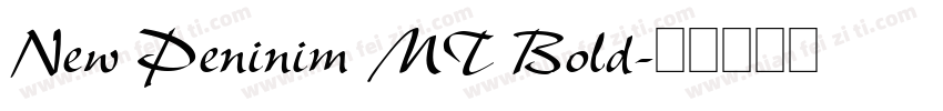 New Peninim MT Bold字体转换